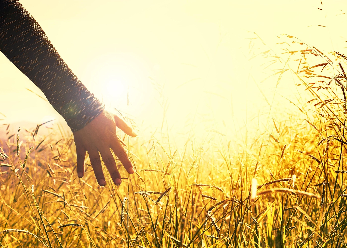 home-soutien-mains-7x5 Mains féminines en geste d’accueil.